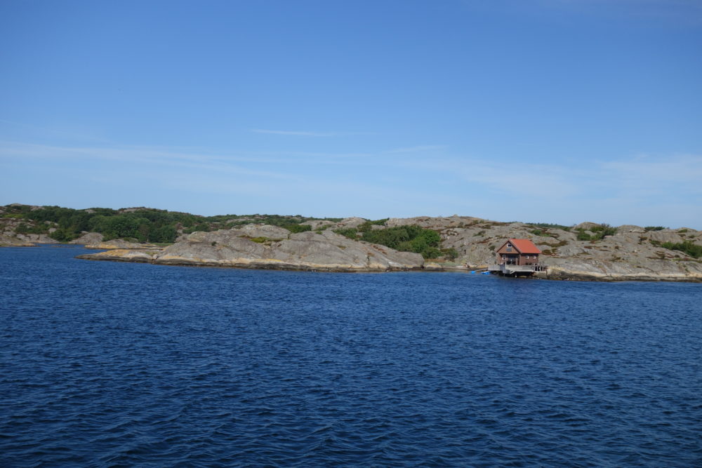 DSC07458