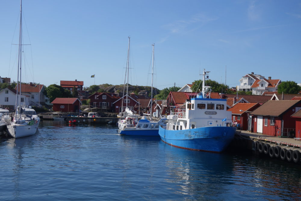 DSC07469