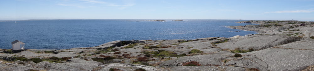 DSC07527