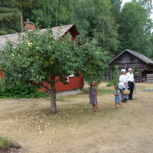 Gammelvala