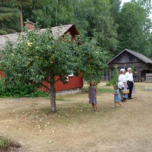 Gammelvala