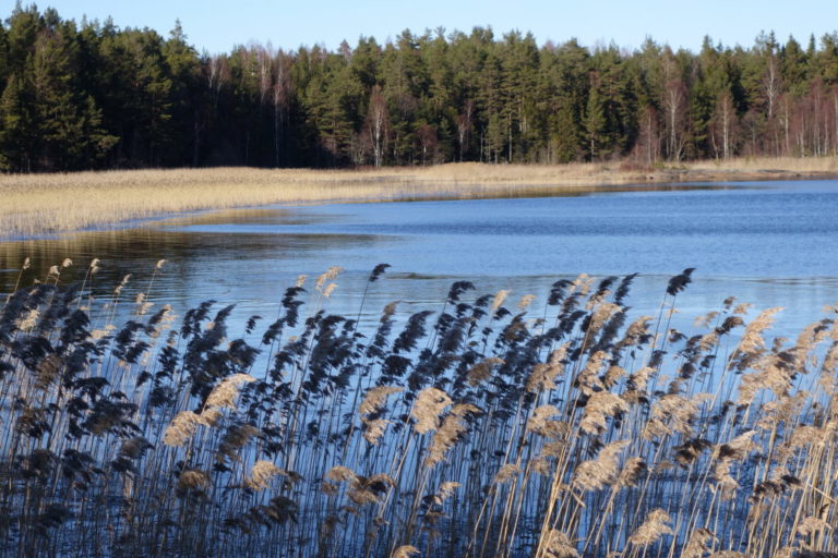 Värmland