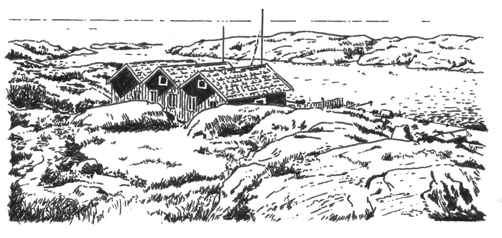 illustrations Les Ptits Lus en Suède